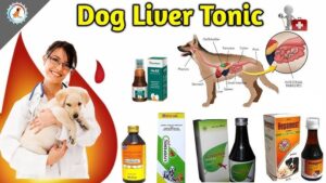 liver tonic for dogs