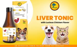 liver tonic for dogs