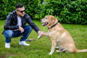 Dog Price in india 2026