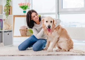 Dog Price in india 2026