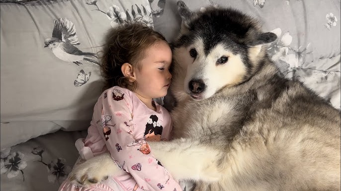 Dog Price in india 2026