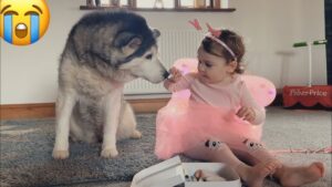 Dog price in India 2026 - 2027