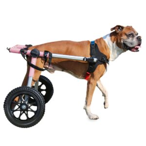 Dog wheels 2026