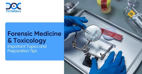 Fmt full form in mbbs 2026